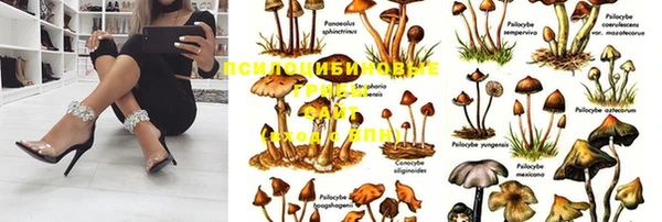 кристаллы Волоколамск