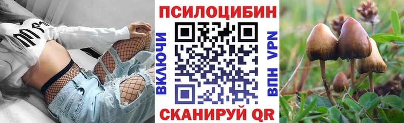 Галлюциногенные грибы Magic Shrooms  площадка официальный сайт  Кизилюрт 